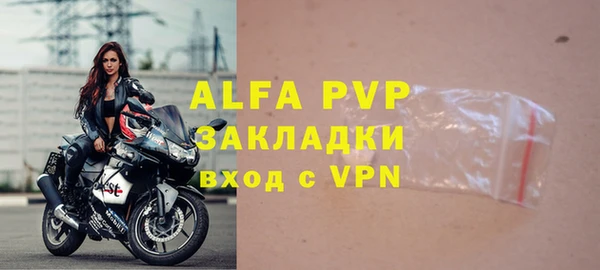 гашик Корсаков