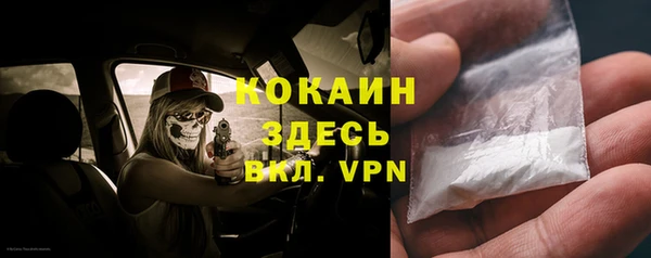 гашик Корсаков