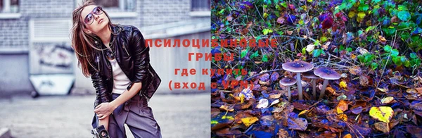apvp Костерёво