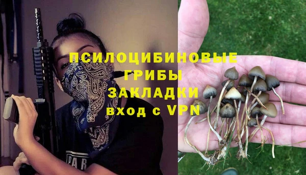 гашик Корсаков