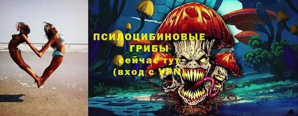 apvp Костерёво