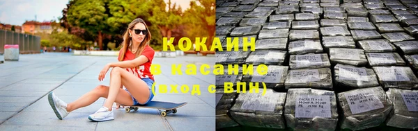 гашик Корсаков