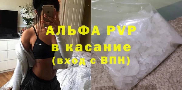 гашик Корсаков