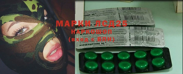 гашик Корсаков