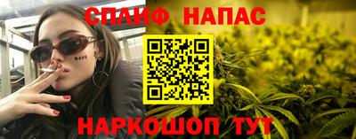 мдпв Гусь-Хрустальный