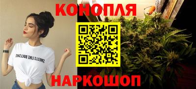 мдпв Гусь-Хрустальный