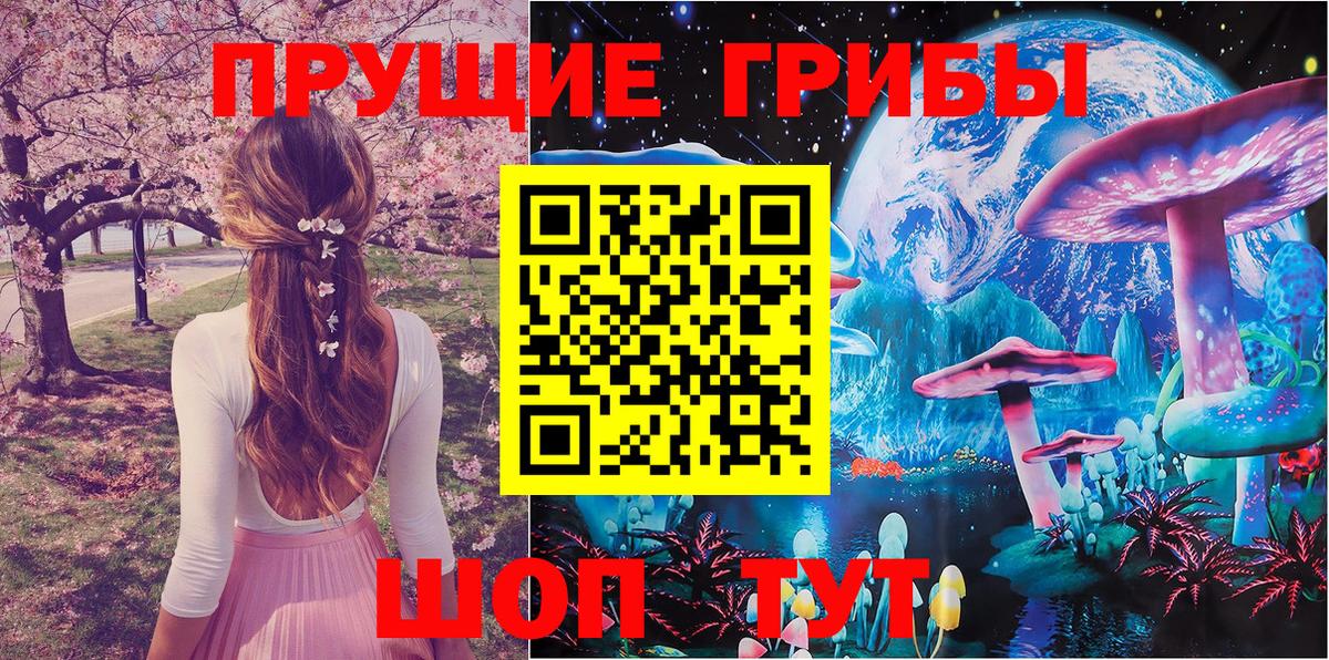 Галлюциногенные грибы прущие грибы  где купить   Новочеркасск  Вход с VPN 