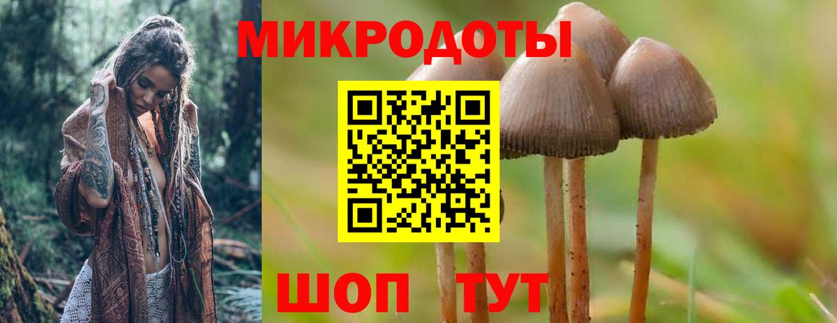 Галлюциногенные грибы мухоморы Новочеркасск